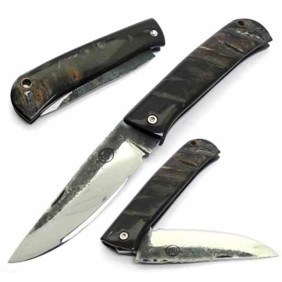 Citadel Le Bugue Cuerno Bufalo 2