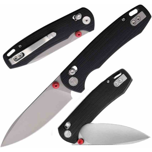 Trivisa Dragonfly-B jm03-bg-14