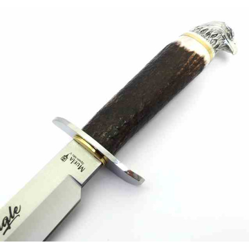 Muela Bald Eagle Plata 16NS