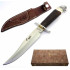 Muela Bald Eagle Plata 16NS