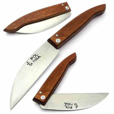 J. Pol Pastor Carbon Laminated Wood 130