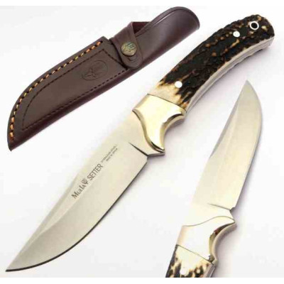 Muela Setter 11a
