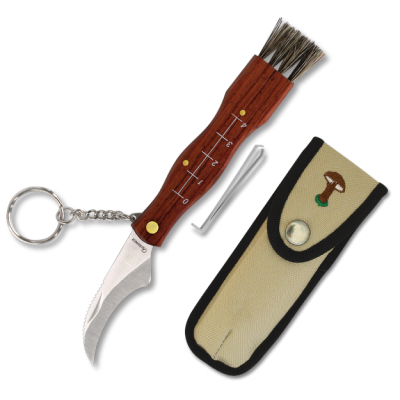 Mushrooms Folder 10505 Mushrooms Folder 10505