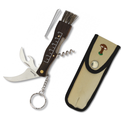 Mushrooms Folder 10593 Mushrooms Folder 10593