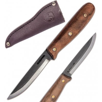 Condor Sapien Condor Sapien