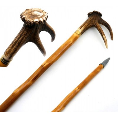 Fallow Horn Spiked Mountain Walking Stick 558 Fallow Horn Spiked Mountain Walking Stick 558