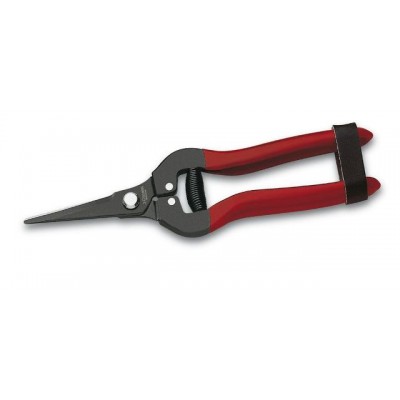 3 Claveles Clean Grapes Scissors 03292 3 Claveles Clean Grapes Scissors 03292