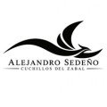 Alejandro Sedeño