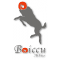 Boiccu