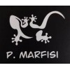 P. Marfisi
